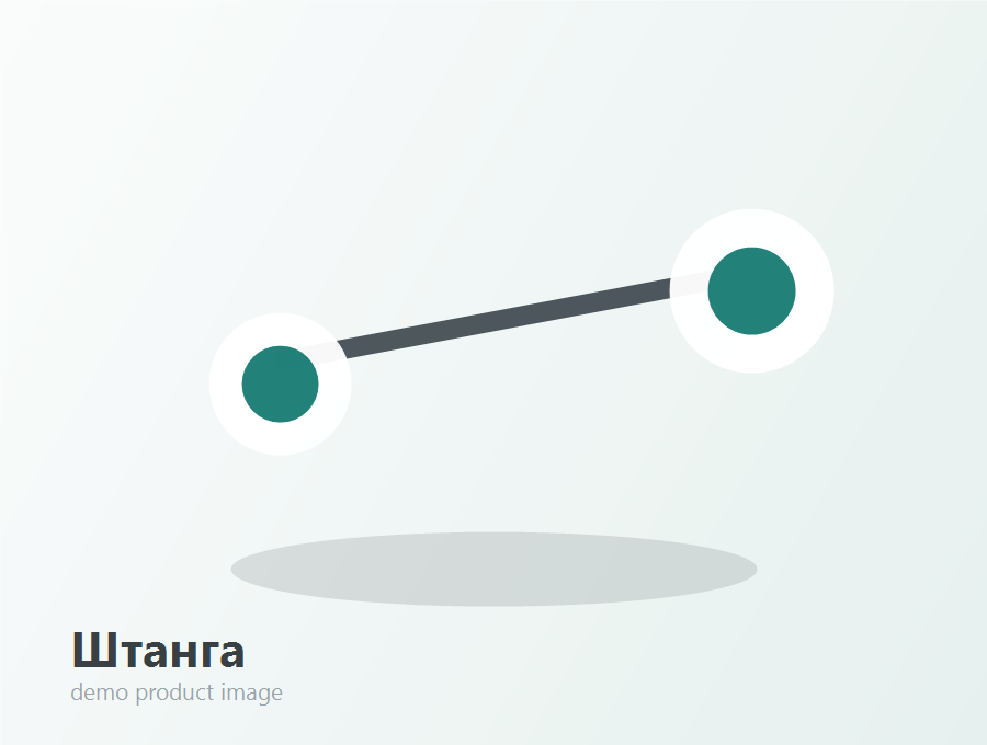 Штанга серебро 1.6 мм / 10 мм